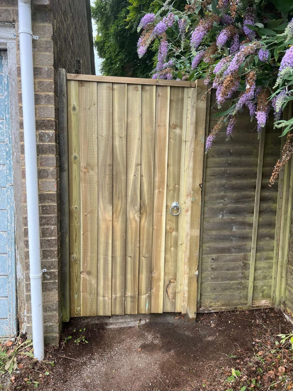 A new tall wooden gate with a ring handle beside a brick wall and a flowering buddleia